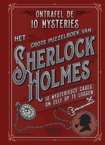 Het grote puzzelboek van Sherlock Holmes - Tim Dedopulos - ebook
