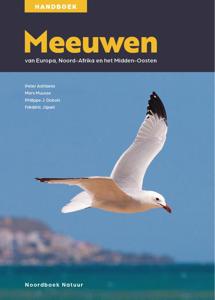 Meeuwen (Paperback)