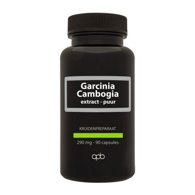 Apb Holland Garcinia cambogia 290mg puur