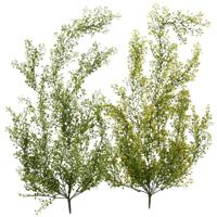 Boltze Home decoratie hangplant groen