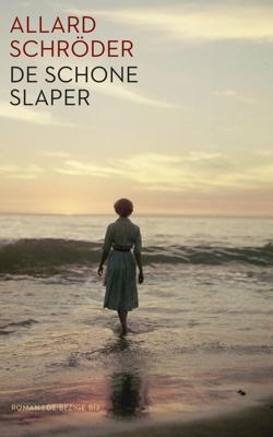 De schone slaper - Allard Schröder - ebook