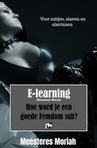 Hoe word je een goede Femdomsub? - Meesteres Moriah - ebook