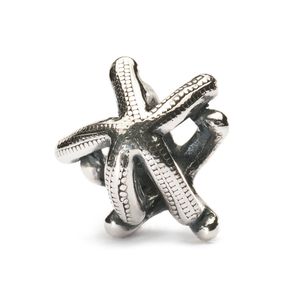 Trollbeads TAGBE-20041 Kraal Zeester zilver