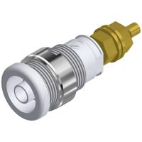 SKS Hirschmann SEB 2600 G M4 Veiligheids-labconnector, female Bus, inbouw verticaal Stift-Ø: 4 mm Wit 1 stuk(s)