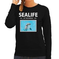 Dolfijn sweater / trui met dieren foto sealife of the world zwart voor dames - thumbnail