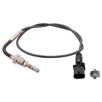 Uitlaatgastemperatuursensor 100819