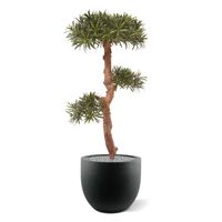 Podocarpus Bonsai kunstboom 105 cm - UV bestendig
