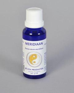 Vita Meridiaan dunne darm meridiaan