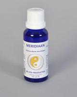 Vita Meridiaan dunne darm meridiaan