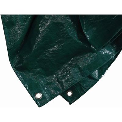 Siena Garden 671089 PE-beschermvlak 8x10m groen 1 stuk(s)