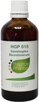 HGP015 Gemmoplex neurotonicum