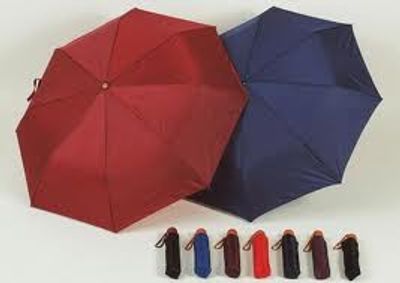 Mini paraplu, assortie kleur