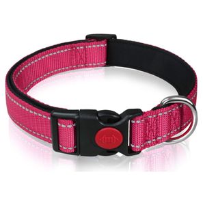 Hondenhalsband met kliksluiting Roze M