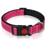 Hondenhalsband met kliksluiting Roze M - thumbnail