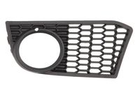 Ventilatiegrille, bumper 65020700679A5P