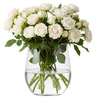 Hakbijl Glass Vaas - transparant - glas - 12 x 9 cm - bloemenvaas