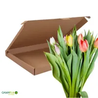 Brievenbus Cadeau Tulpen Gemixt - thumbnail