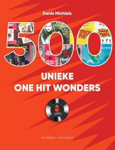 500 unieke One Hit Wonders (Hardback)