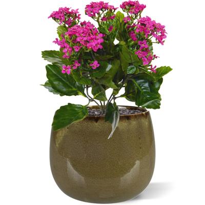 Kalanchoe kunstplant 30cm - paars