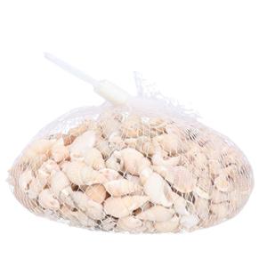 Rayher Schelpjes - posthoorn schelpen - decoratie - 150 gram - maritiem