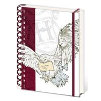 Harry Potter Notitieboek Special Delivery