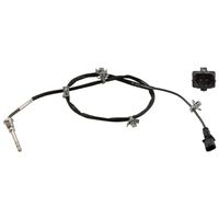 Uitlaatgastemperatuursensor 100841