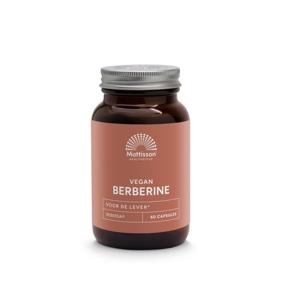 Berberine 500mg Rebersa