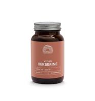 Berberine 500mg Rebersa