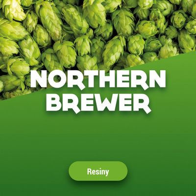 Hopbellen Northern Brewer 2024 5 kg