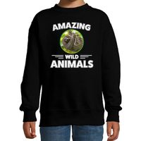 Sweater luiaarden amazing wild animals / dieren trui zwart voor kinderen