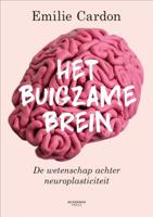 Het buigzame brein (Paperback)