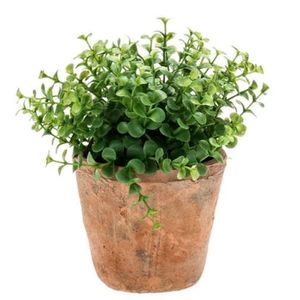 Kunstplant eucalyptus - groen - in oud terracotta pot - 20 cm