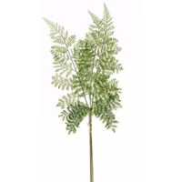 Kunstplant bosvaren tak 58 cm groen   -