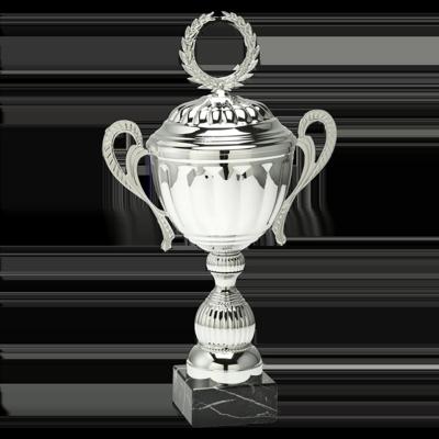 Sportprijzen Leiden Trofee MT.094