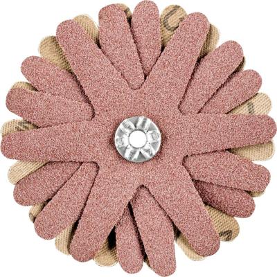 PFERD TOOLS 42732106 Schuursterren Diameter 70 mm 10 stuk(s)