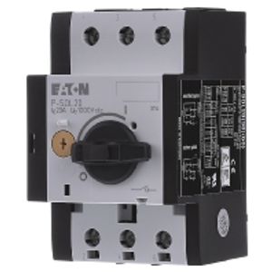 Eaton P-SOL20 elektrische schakelaar Draaischakelaar 2P Zwart, Wit