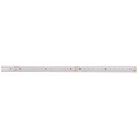 Deko Light Long Run 840398 LED-strip Energielabel: F (A - G) Met open kabeleinde 48 V 15 m Neutraalwit 1 stuk(s)