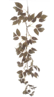 Kunsttak Mountain leaf garland green 122 cm - Buitengewoon de boet