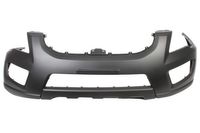 Bumper 5510003290900P