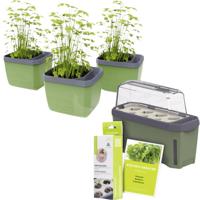 Gusta Garden W07071 Plantcontainer