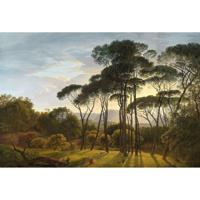 Fotobehang - Italian Landscape with Umbrella Pines 384x260cm - Vliesbehang