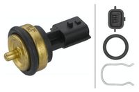 Temperatuursensor 6PT013113221