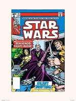 Kunstdruk Star Wars - 24 Silent Drifting 30x40cm