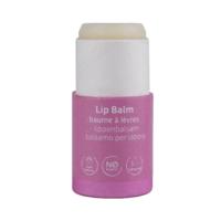 Beauty Made Easy Papertube lipbalm Lavender Beauty Made Easy Papertube lipbalm Lavender