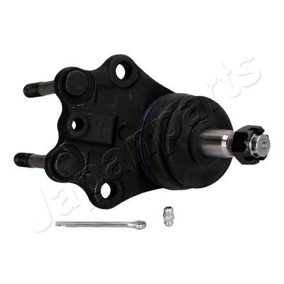 Fuseekogel BJ234