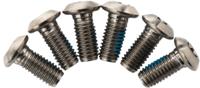 TRP Schrew set titanium 6 pcs.