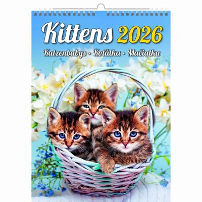 Kittens Kalender 2026