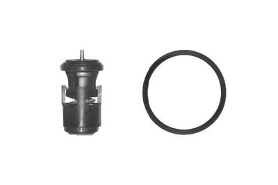 Thermostaat, koelvloeistof TH14780G1