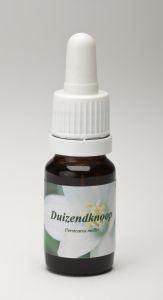 Duizendknoop