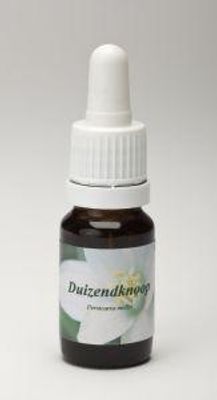 Duizendknoop